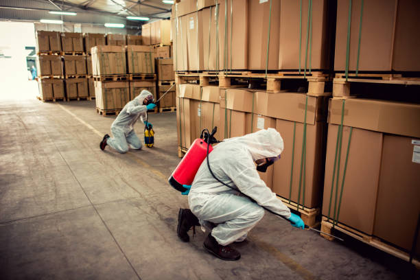 Best Flea Control Services  in Rancho Mirage, CA