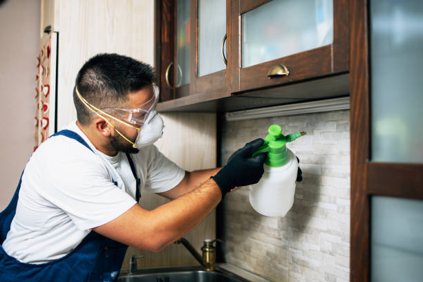 Best Termite Control Services  in Rancho Mirage, CA