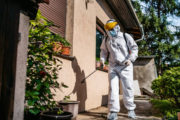 Best Pest Removal Services  in Rancho Mirage, CA
