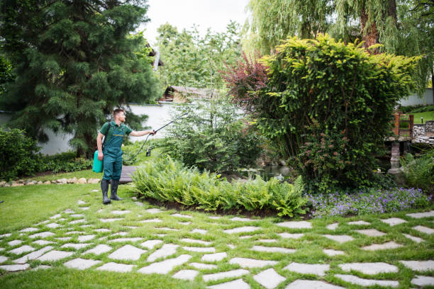Best Best Pest Control Companies  in Rancho Mirage, CA